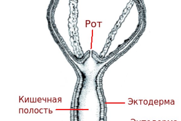 Кракен что продают