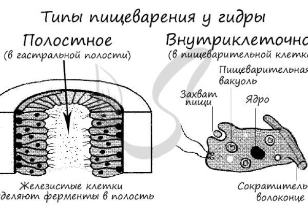 Как восстановить аккаунт на кракене