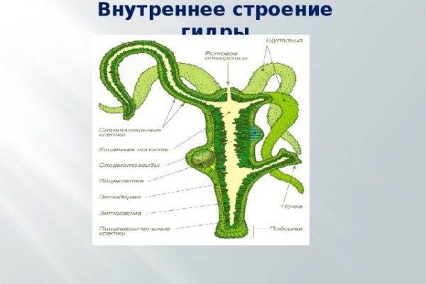 Как зарегистрироваться на кракене