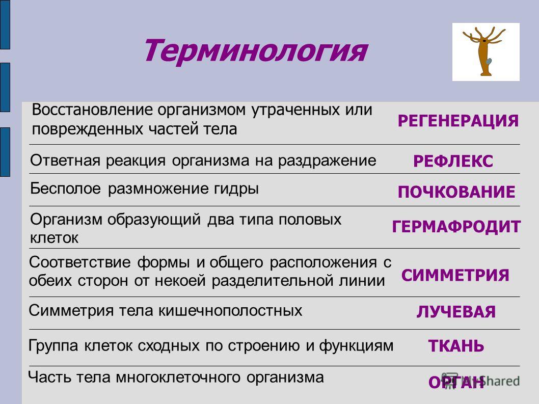 Восстановить аккаунт на кракене